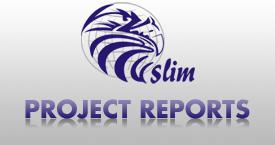 Project Reports