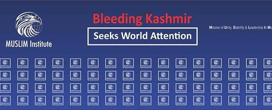 Seminar on Bleeding Kashmir Seeks World Attention